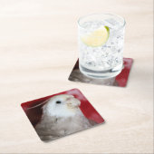 Reeples Kartonnen Onderzetters (Insitu)