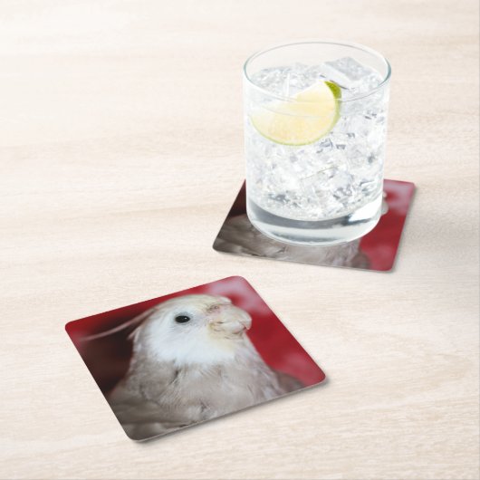 Reeples Kartonnen Onderzetters (Insitu)