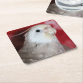 Reeples Kartonnen Onderzetters (Schuin)