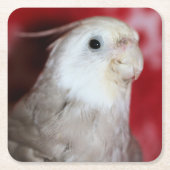 Reeples Kartonnen Onderzetters (Voorkant)