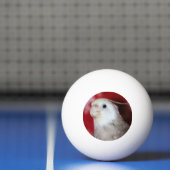 Reeples Pingpongbal (Net)