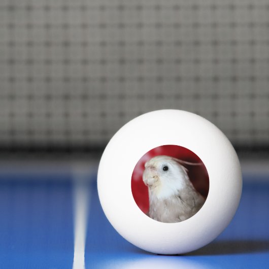 Reeples Pingpongbal (Net)