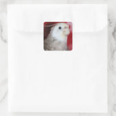 Reeples Vierkante Sticker (Tas)