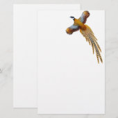 Reeves Pheasant Stationery Briefpapier (Voorkant / Achterkant)