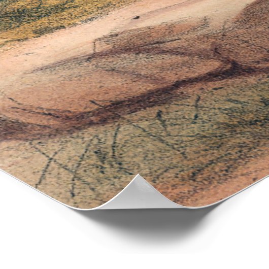 Reeves Pheasant van Joseph Wolf Poster (Hoek)