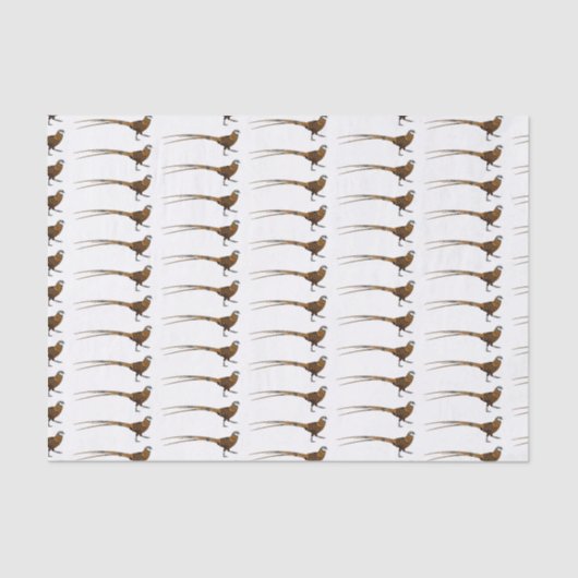 Reeves's fazant bird cartoon illustratie tissuepapier (Voorkant)