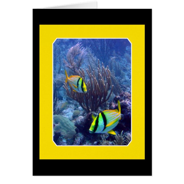 Ref. Ambergise Caye - Belize (Voorkant)