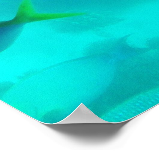 Ref Australië onder water Great Barrier Reef Poster (Hoek)