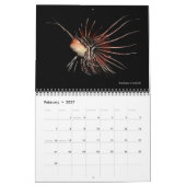 Ref Fishes Wall Calendar 2 van J.W. Fatherree Kalender (Feb 2027)