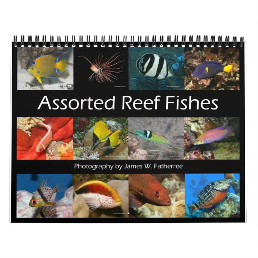 Ref Fishes Wall Calendar 2 van J.W. Fatherree Kalender (Hoes)
