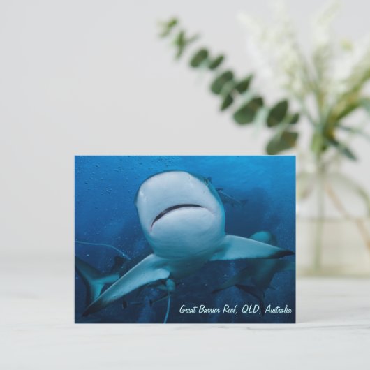Ref. haai Great Barrier Reef Coral Zee Gift Briefkaart (Staand voorkant)