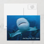 Ref. haai Great Barrier Reef Coral Zee Gift Briefkaart (Voorkant / Achterkant)