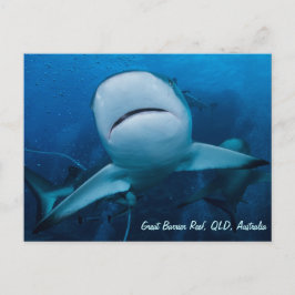Ref. haai Great Barrier Reef Coral Zee Gift Briefkaart