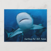 Ref. haai Great Barrier Reef Coral Zee Gift Briefkaart (Voorkant)