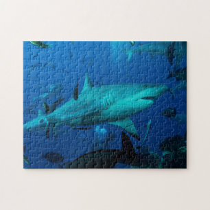 Ref. haai Great Barrier Reef Coral Zee Legpuzzel