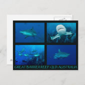 Ref. haaien van het Koraal Zee Briefkaart (Voorkant / Achterkant)