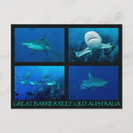 Ref. haaien van het Koraal Zee Briefkaart