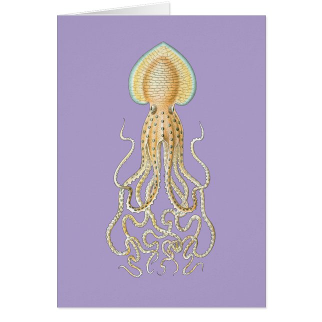 Ref. Octopus (Voorkant)