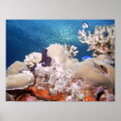 Ref. Poster (Voorkant)