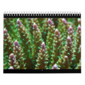 Ref.-serverkalender 2012 kalender (Hoes)