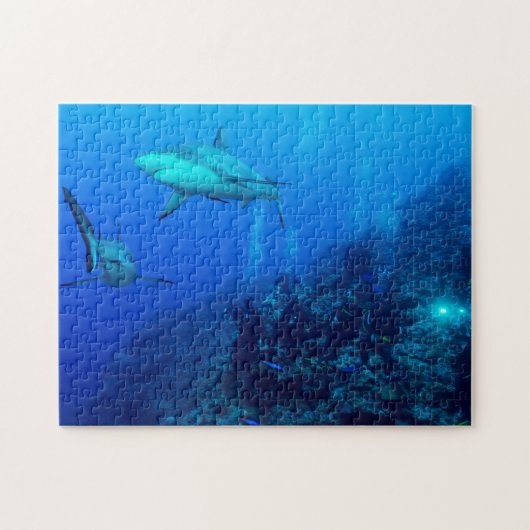 Ref. Shark and Divers Jigzaag Puzzle Legpuzzel (Horizontaal)