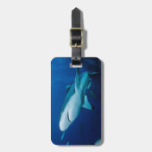 Ref. Shark Bagagelabel (Voorkant verticaal)