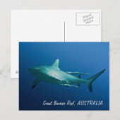 Ref. Shark Briefkaart (Voorkant / Achterkant)