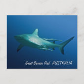 Ref. Shark Briefkaart (Voorkant)