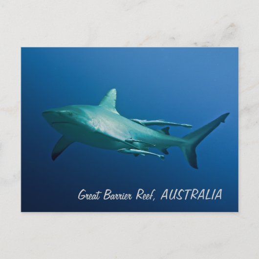 Ref. Shark Briefkaart (Voorkant)