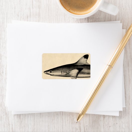  Ref Shark Illustratie Black Tipped Etiket (Insitu)
