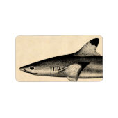  Ref Shark Illustratie Black Tipped Etiket (Voorkant)