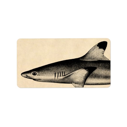  Ref Shark Illustratie Black Tipped Etiket (Voorkant)