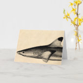 Ref Shark Illustratie Black Tipped Kaart (Gele Bloem)