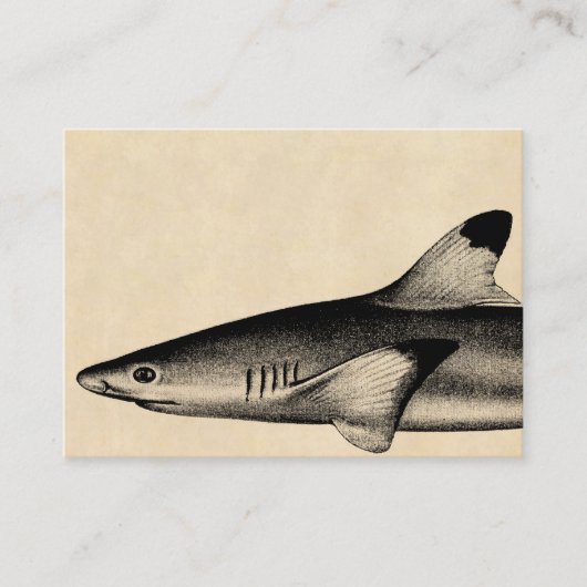 Ref Shark Illustratie Black Tipped Visitekaartje (Voorkant)