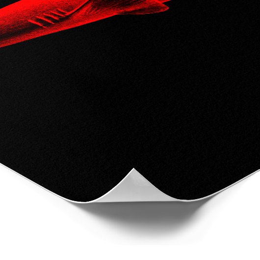  Ref Shark Illustratie Rode Zwarte Haaien Poster (Hoek)