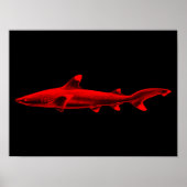 Ref Shark Illustratie Rode Zwarte Haaien Poster (Voorkant)