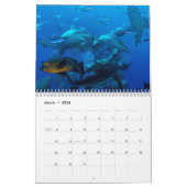 Ref Sharks Great Barrier Reef Coral Zee Kalender (Mar 2026)