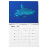 Ref Sharks Great Barrier Reef Coral Zee Kalender (Feb 2026)