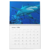 Ref Sharks Great Barrier Reef Coral Zee Kalender (Jan 2026)