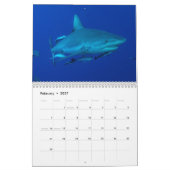 Ref Sharks Great Barrier Reef Coral Zee Kalender (Feb 2027)