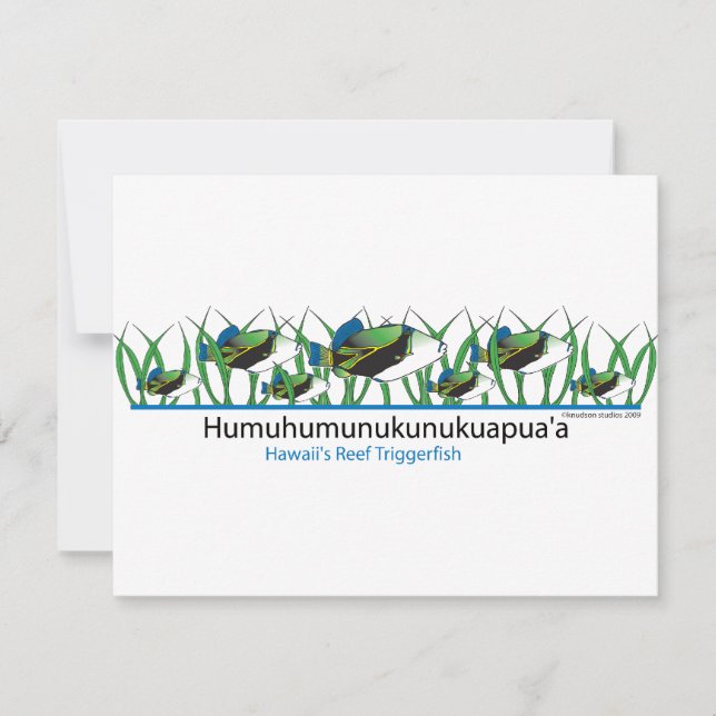 Ref.-vis- (Voorkant)