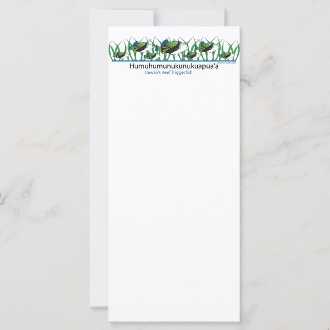 Ref.-vis- (Voorkant)