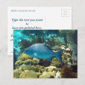 Ref. vis briefkaart (Voorkant / Achterkant)