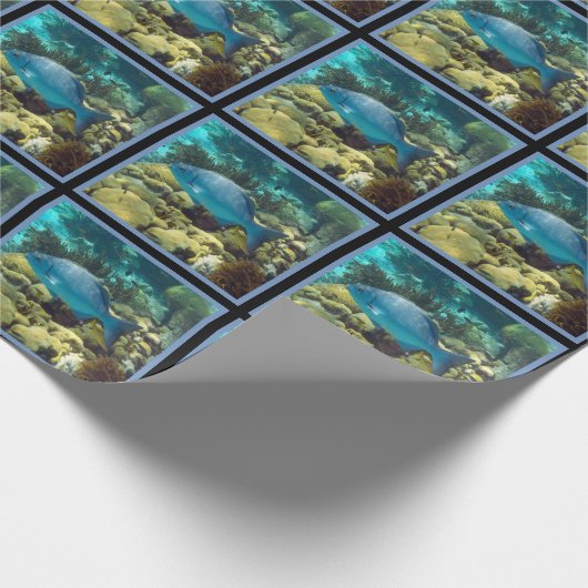 Ref. vis cadeaupapier (Hoek)