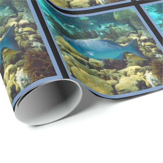 Ref. vis cadeaupapier (Rol Hoek)