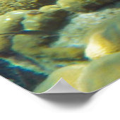 Ref. vis poster (Hoek)