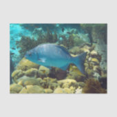 Ref. vis tissuepapier (Voorkant)