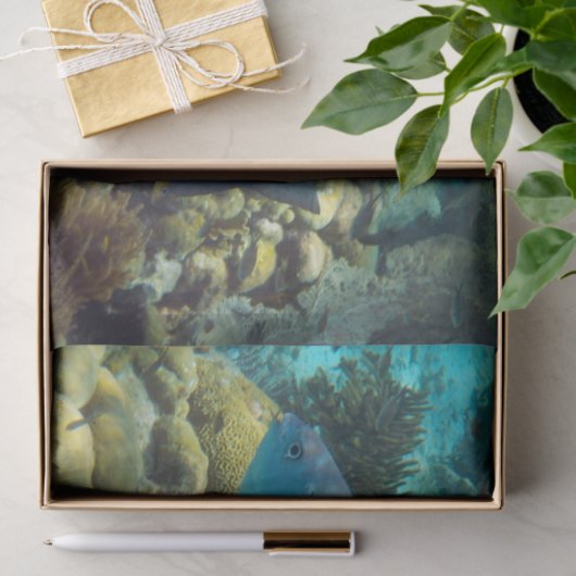 Ref. vis tissuepapier (Geschenk)