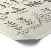 Referentie  botany Leaves & Flowers, 1753 Poster (Hoek)