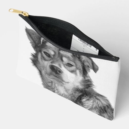 Refined Monochrome Large Mixed Breed Canine Etui (Open)